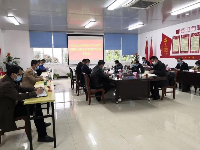 雷应敏主持召开中沛电子信息产业园建设专题会